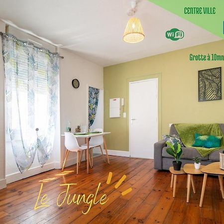 Le Jungle--Hyper Centre--Tout Confort--Wifi Lourdes Zewnętrze zdjęcie